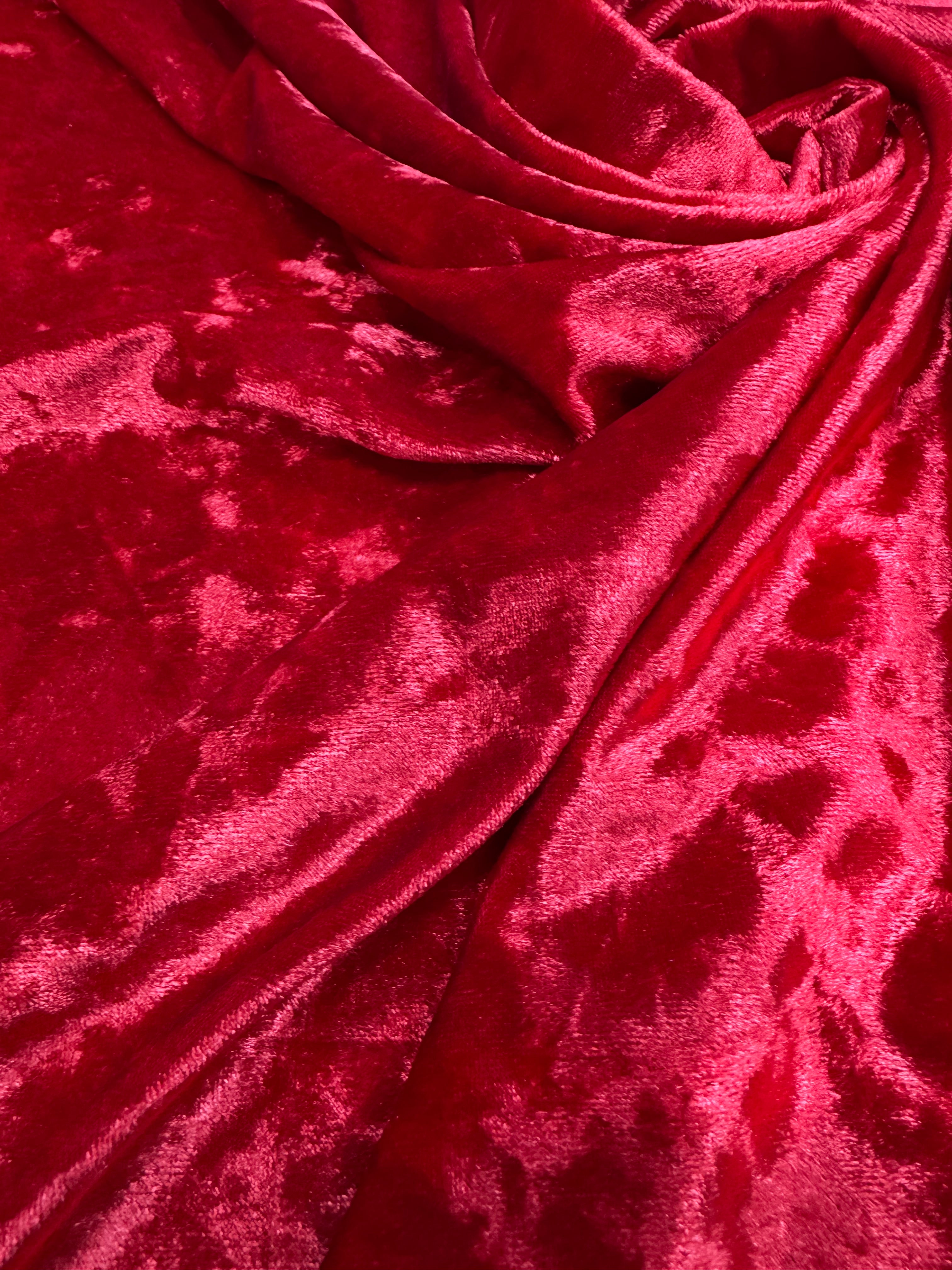 Catifea elastica, Rosu