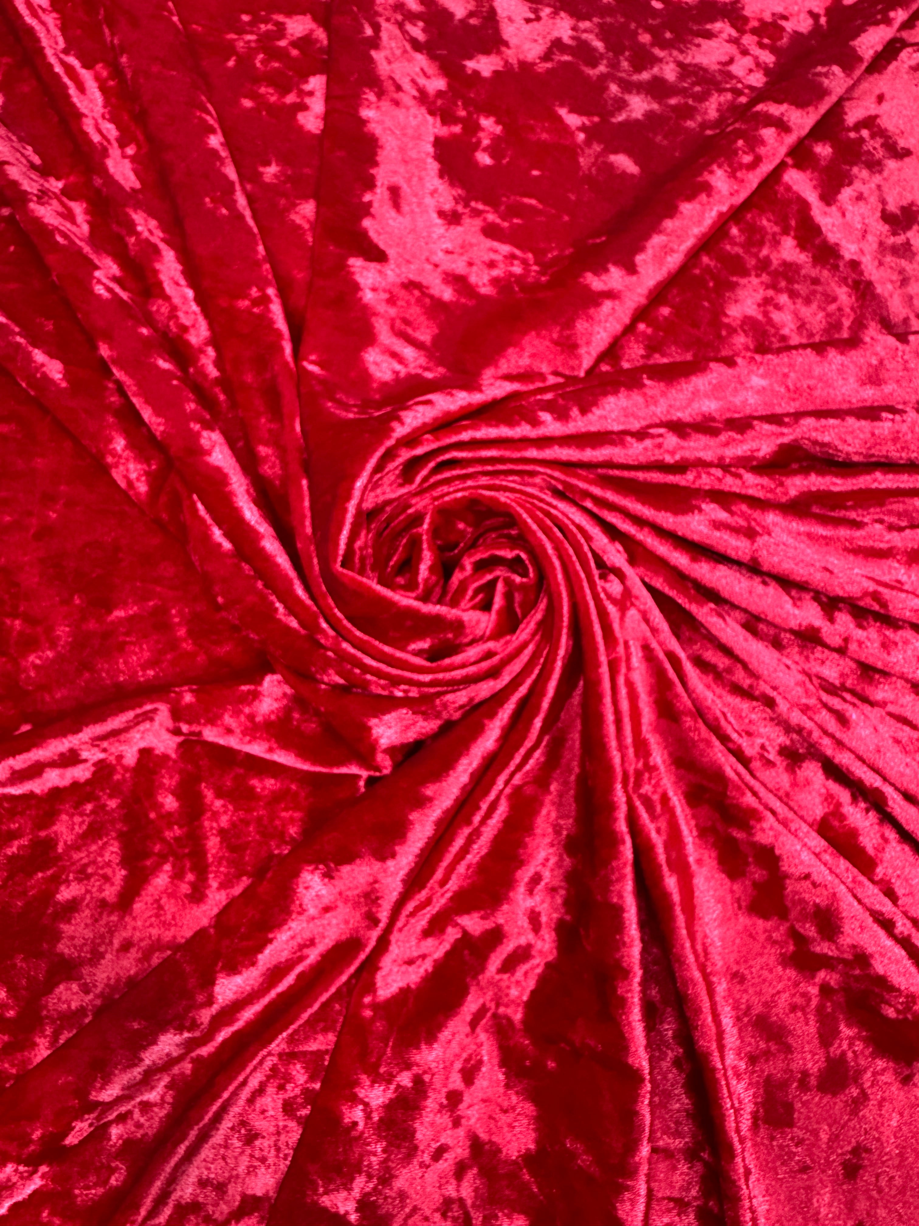 Catifea elastica, Rosu