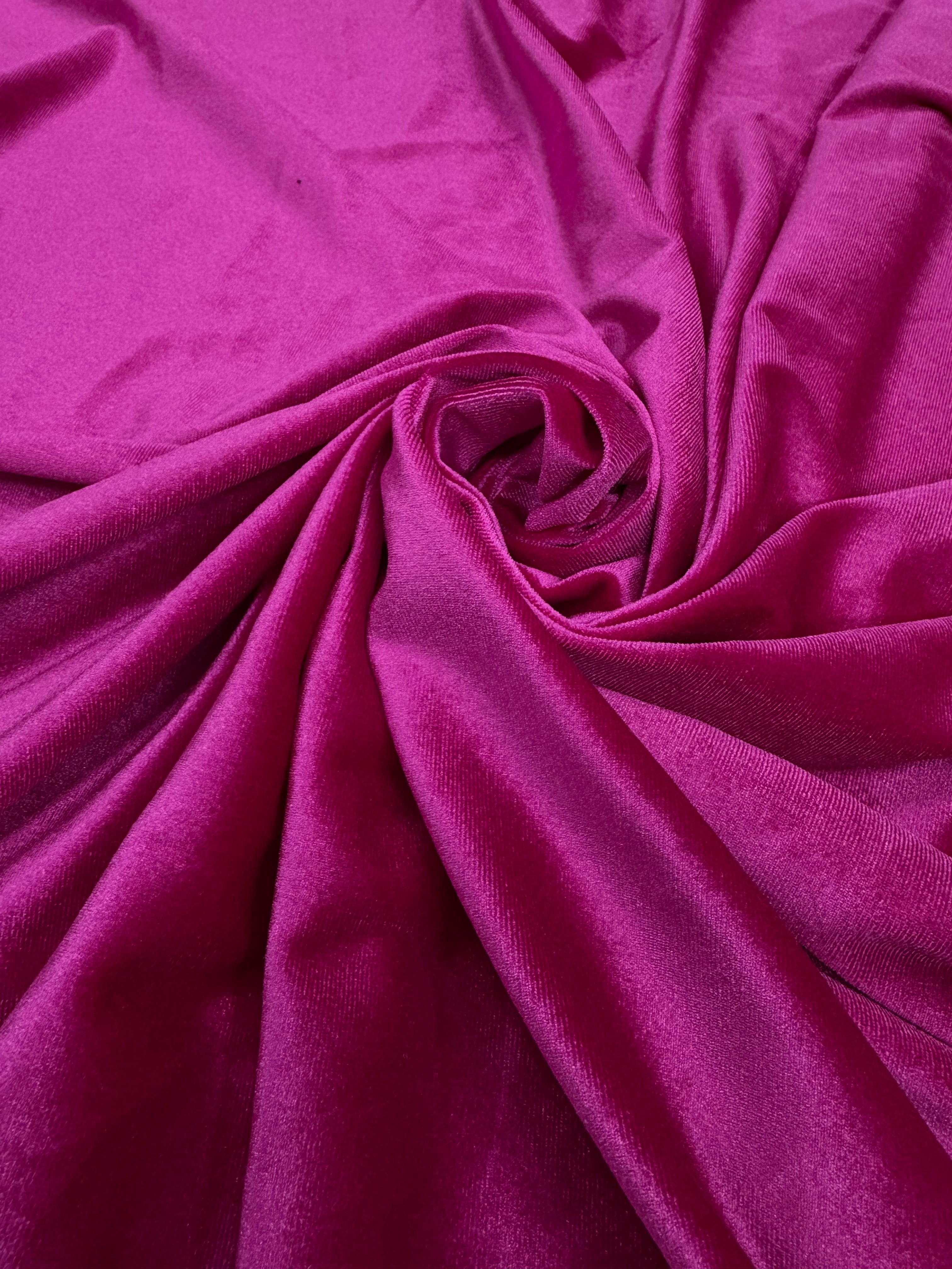 Catifea elastica, Fucsia