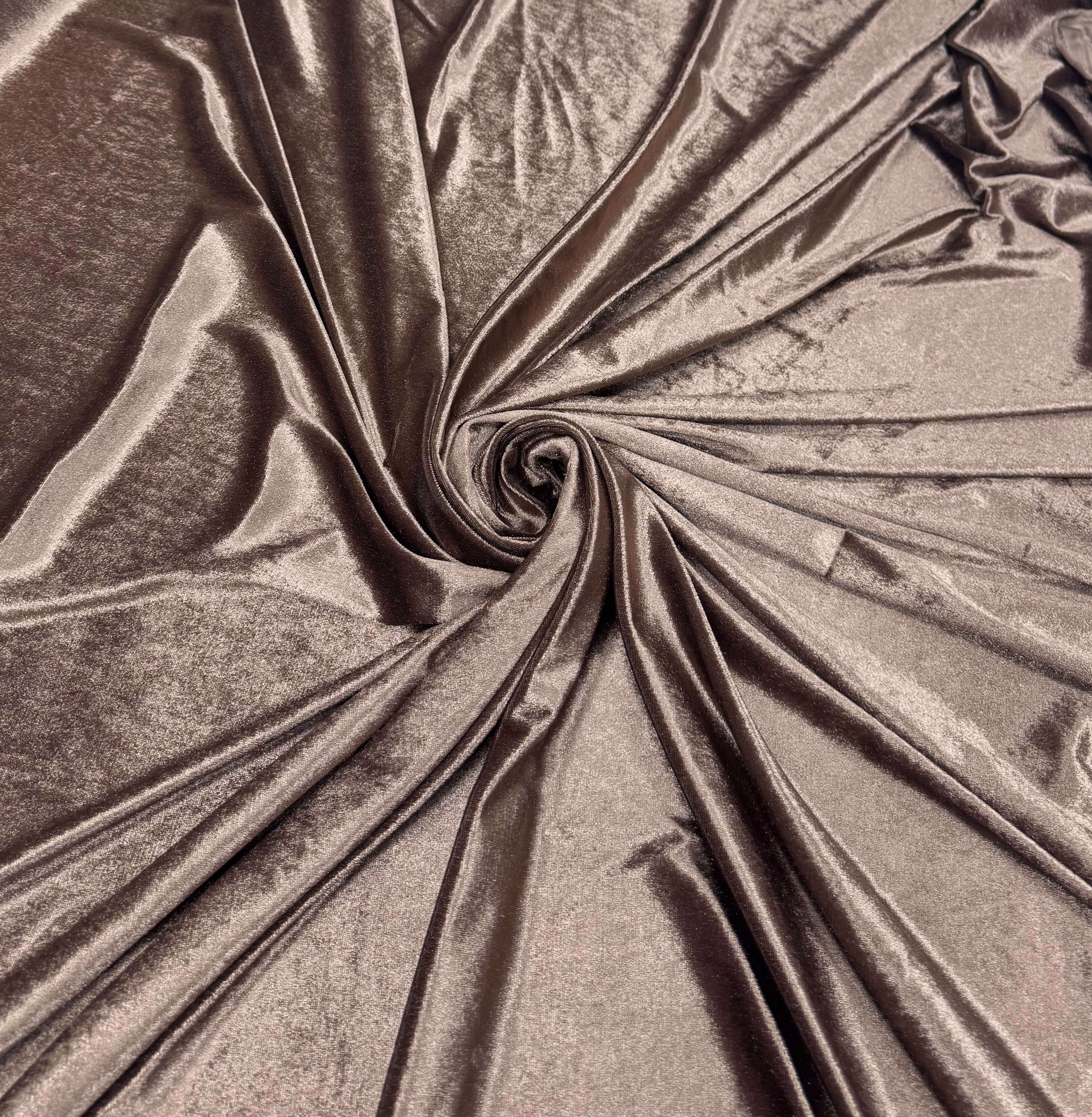 Catifea elastica, Bej