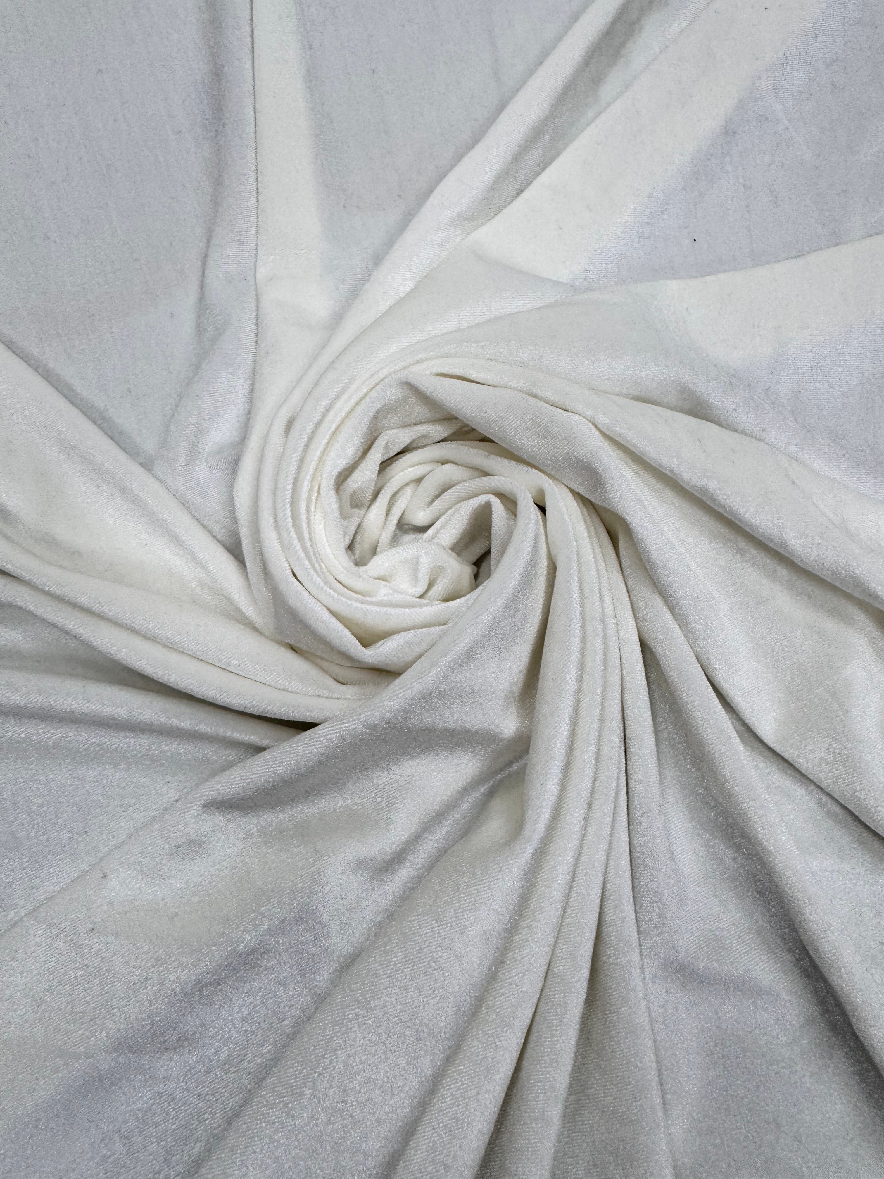 Catifea elastica, Ivoire