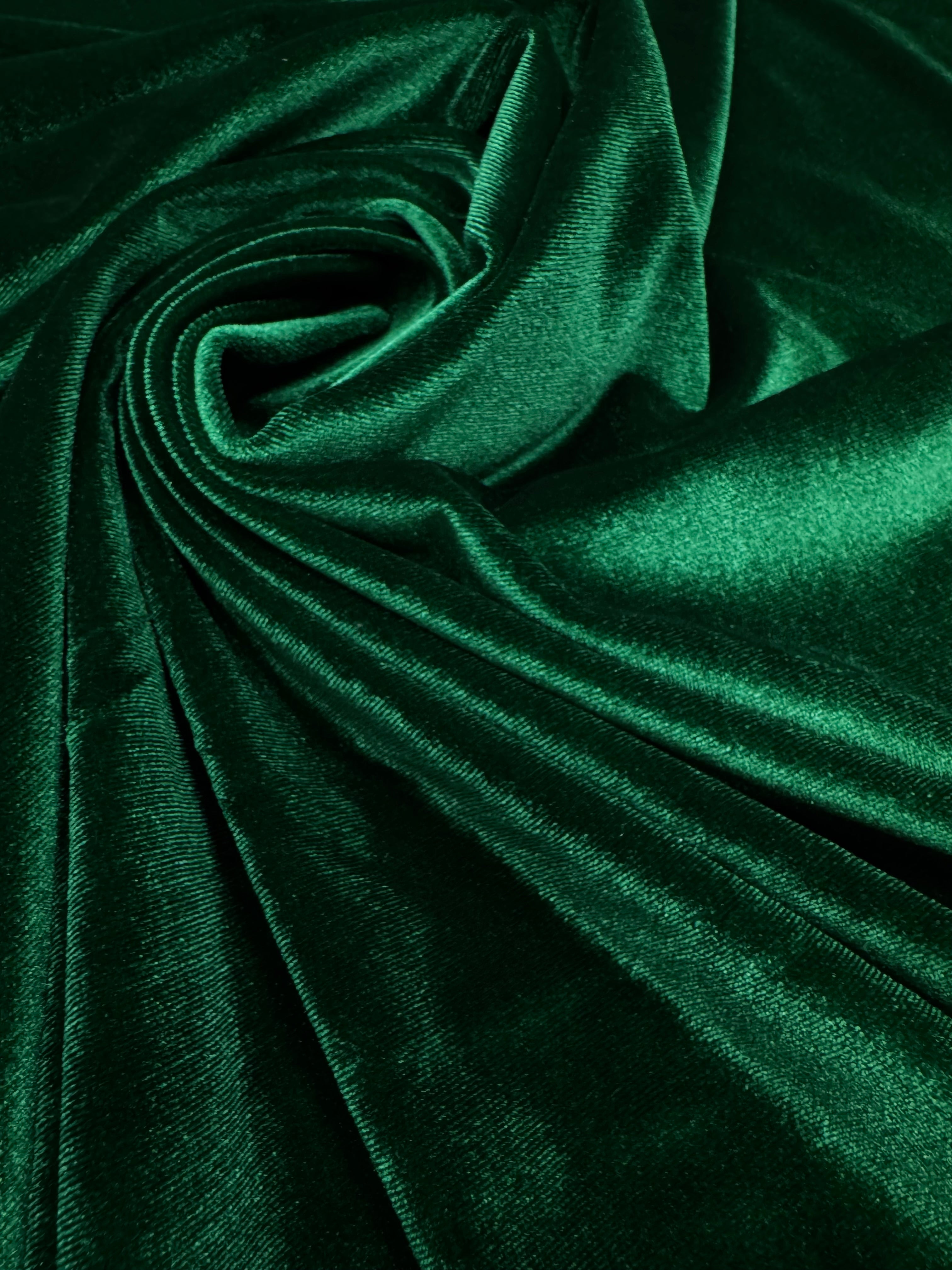 Catifea elastica, Verde